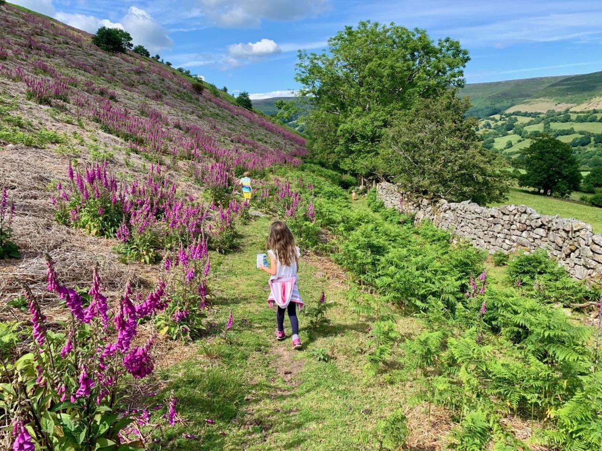 Black Mountains Stylish Hideaway, Nr Crickhowell Llanbedr  Extérieur photo